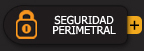 seguridad perimetral